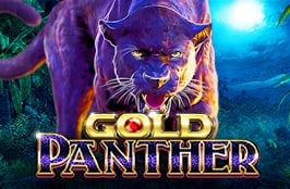 Gold Panther Maxway